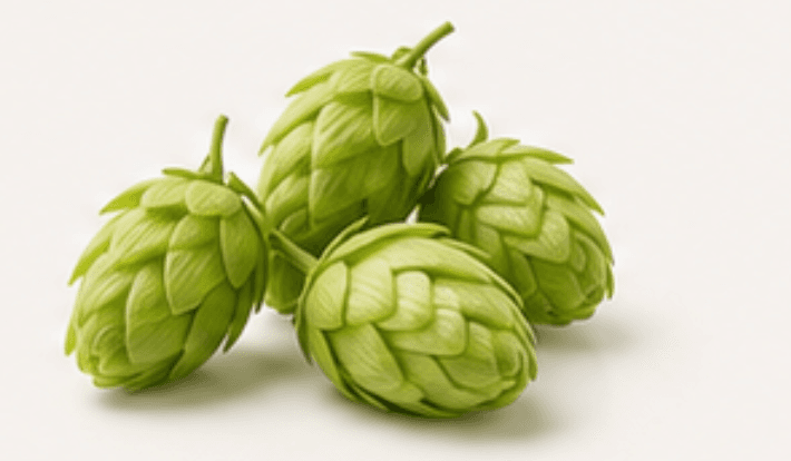 Hops